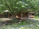 View of the backyard featuring a brick home with a large tree providing shade at 8875 N Goat Hollow Rd, Mooresville, IN 46158