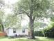 Spacious backyard featuring a patio, large tree, offering shade and scenic views at 4445 Kingsley Dr, Indianapolis, IN 46205