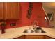 Kitchen sink features stainless steel appliances, updated fixtures and bright red walls at 6585 Dunsdin Dr, Plainfield, IN 46168