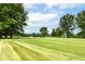 Expansive, well-manicured lawn extending to mature trees, suggesting a peaceful and green setting at 392 Sandbrook Dr, Noblesville, IN 46062