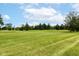 Vast lawn with scattered trees under a partly cloudy sky, creating a sense of openness and natural beauty at 392 Sandbrook Dr, Noblesville, IN 46062