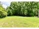 Expansive backyard with lush lawn and dense perimeter of mature trees at 4115 Tansel Rd, Indianapolis, IN 46234