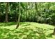 A sprawling yard surrounded by dense trees, offering a sense of privacy and nature at 4115 Tansel Rd, Indianapolis, IN 46234