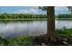 Scenic lake view showcasing tranquil water and lush green trees, adding natural beauty to the landscape at 4443 Mallard Pt, Columbus, IN 47201