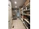 Spacious walk-in pantry with ample shelving for optimal kitchen storage and organization at 10865 Fairwoods Dr, Fishers, IN 46037