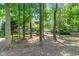 A backyard with a glimpse of the house behind some trees at 11266 Old Stone Dr, Indianapolis, IN 46236