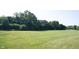 A large grassy field surrounded by lush green trees, offering open space and natural scenery in a neighborhood at 13829 Black Canyon Ct, Fishers, IN 46038