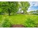 Green front lawn complemented by mature trees and a well-maintained landscape at 1605 Westlane Rd, Indianapolis, IN 46260