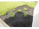 Fresh landscaping with black mulch and green shrubbery at 5430 E 17Th St, Indianapolis, IN 46218
