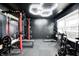 A home gym is equipped with various weightlifting machines and exercise equipment, with natural light at 6332 Card Blvd, Indianapolis, IN 46221