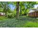 Lush backyard with mature trees, flourishing ground cover, and a glimpse of a well-maintained brick house at 7736 Wawasee Dr, Indianapolis, IN 46250