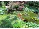 Backyard pond with koi fish and lily pads, surrounded by lush greenery and landscaping at 7736 Wawasee Dr, Indianapolis, IN 46250