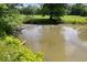 Scenic view of a pond with lush greenery around the bank at 881 W 1050 N, Fortville, IN 46040