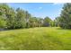 Open lawn with trees provides a private backyard retreat at 10455 Trewithen Ln, Carmel, IN 46032