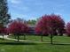 A charming home framed by flowering trees lining the long drive at 12251 E 196Th St, Noblesville, IN 46060