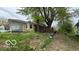 The backyard is spacious, with a brick chimney and a large tree providing shade at 252 Ringwood Way, Anderson, IN 46013