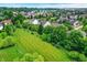 Lovely aerial view of homes scattered amongst expansive grassy areas and mature trees within a residential community at 3345 Kilkenny Cir, Carmel, IN 46032