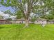 The spacious backyard has a large tree and green grass at 3809 N Glenwood Ave, Muncie, IN 47304