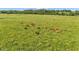 Aerial view of cows grazing in open grassy field at 4535 N Us Hwy 52, Thorntown, IN 46071