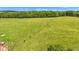 Expansive grassy field with grazing cattle and scenic tree line view in an aerial image at 4535 N Us Hwy 52, Thorntown, IN 46071
