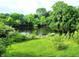 Picturesque pond surrounded by lush greenery and trees at 6003 S 125 W, Trafalgar, IN 46181