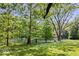 Lush backyard with mature trees and scenic pond view, great for recreation at 6115 Stonegate Run, Zionsville, IN 46077