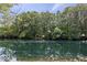 Scenic view of a serene pond surrounded by lush trees and greenery at 6115 Stonegate Run, Zionsville, IN 46077
