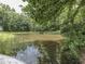 View of the pond and surrounding wooded area at 6295 State Road 142 Rd, Martinsville, IN 46151