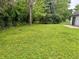 Spacious backyard with plenty of green grass and potential for landscaping and outdoor activities at 7042 Colita More Ct, Indianapolis, IN 46254
