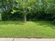 Lush backyard showcasing a large grassy area, mature trees, and space for gardening or recreation at 7042 Colita More Ct, Indianapolis, IN 46254