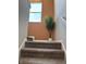 Stairway with carpeted steps, white risers, a window, and a decorative palm plant on the landing at 10218 Arctic Edge Dr, Indianapolis, IN 46259