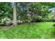 Mature trees and green grass in a backyard, create a peaceful environment at 12450 Petalon Trce, Fishers, IN 46037