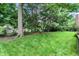 Green grass and mature trees in the backyard offer serenity and privacy at 12450 Petalon Trce, Fishers, IN 46037
