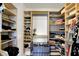Walk-in closet with built-in shelves, hanging rods, and storage for shoes, bags, and clothes at 13757 Flintridge Pass, Carmel, IN 46033