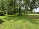 Lush green backyard with mature trees providing ample shade and privacy at 1980 S Arthur Rd, Paragon, IN 46166
