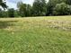 Lush green field partially mowed, offering a blend of textures and open space at 1980 S Arthur Rd, Paragon, IN 46166