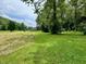 Large, grassy yard featuring mature trees, offering a peaceful and natural setting at 1980 S Arthur Rd, Paragon, IN 46166