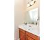 Well-lit bathroom featuring a white sink, oak cabinets, and a large mirror at 13700 Stanford Dr, Carmel, IN 46074
