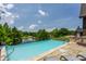 Infinity pool with beautiful landscape and pond view at 18 Lost Run Ln, Zionsville, IN 46077