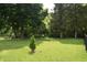 Large grassy backyard with mature trees, providing a tranquil and spacious area for outdoor activities at 1820 Irish Lake Ln, Indianapolis, IN 46239