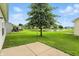 The backyard features a large tree and view of the pond at 2253 Bridlewood Dr, Franklin, IN 46131