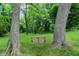 Backyard featuring a swing suspended between two mature trees, creating a peaceful retreat at 8760 Big Bend Rd, Martinsville, IN 46151