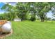 Spacious backyard features lush green grass and a storage shed at 8760 Big Bend Rd, Martinsville, IN 46151
