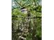 Wooden hunting blind elevated in the trees with a ladder at 9168 S State Road 9, Flat Rock, IN 47234