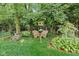 Cozy backyard area featuring wicker chairs, a birdhouse, and lush greenery, creating a peaceful retreat at 6439 Bower Dr, Indianapolis, IN 46241