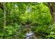 Scenic creek surrounded by lush greenery and mature trees adding natural beauty to the property at 11544 Crestwood Ct, Indianapolis, IN 46239