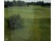 Scenic view of a well-manicured golf course with lush green fairways and mature trees at 19236 Fox Chase Dr, Noblesville, IN 46062