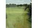 A stunning view overlooking a golf course and the trees at 19236 Fox Chase Dr, Noblesville, IN 46062