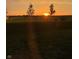 Picturesque sunset view over the property's vast green fields, providing a tranquil and serene backdrop at 1980 Bridlewood Dr, Franklin, IN 46131