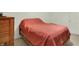 Large bed with side tables and a wall on the left side of the frame at 5063 Haywood Ln, Plainfield, IN 46168